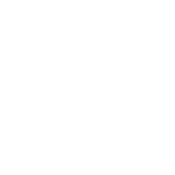 ai-model